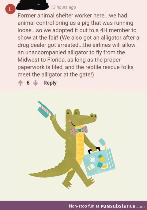 When the alligator sees you but it's been a while