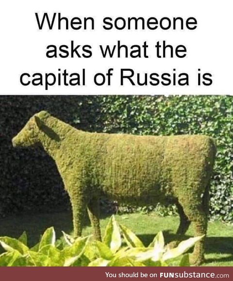 The letter R