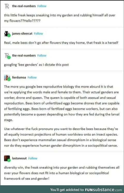 Bees!