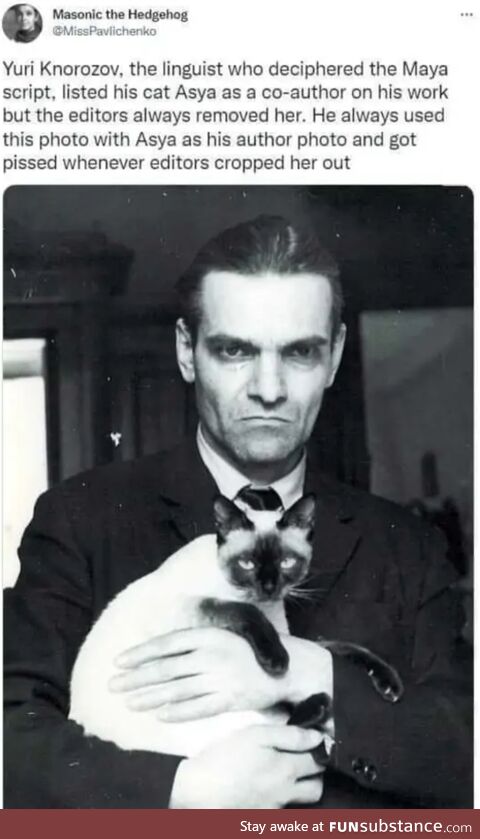 The cat do not please
