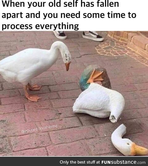 Takes a moment
