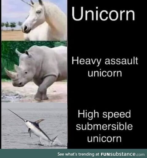 Chonky