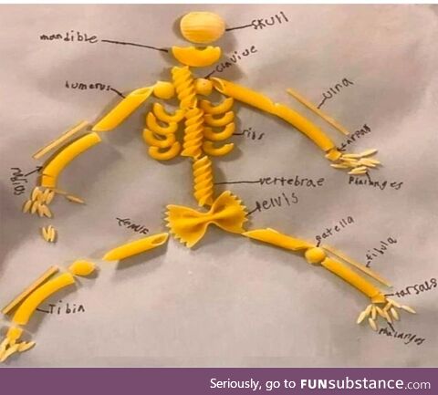 Anatomy of an Italian