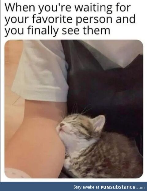 It's the best