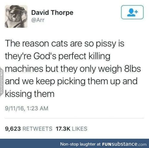 Cat