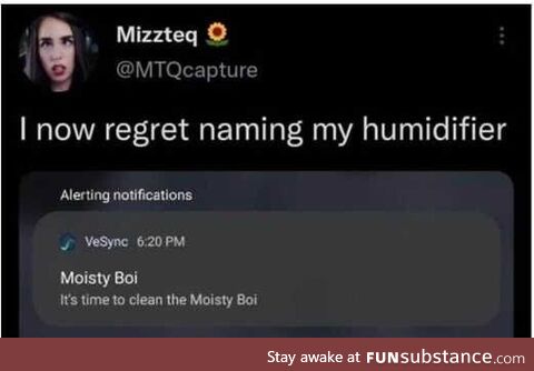 moist