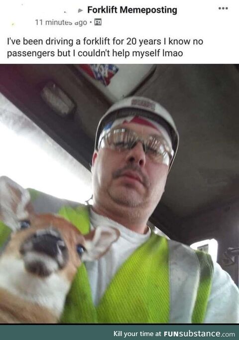 Oh deer