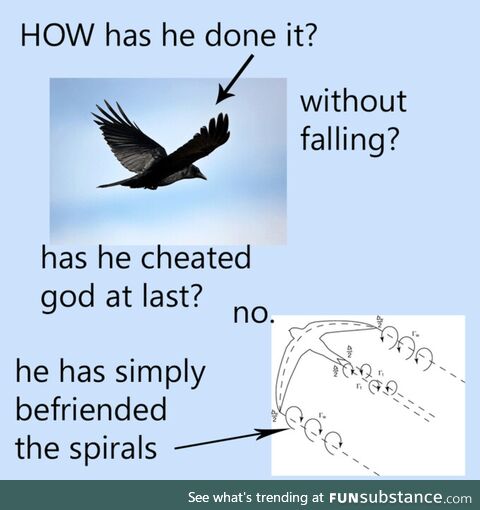 Can I befriend them?