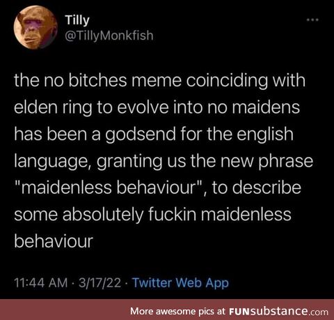 I got 99 problems but a maiden ain't one