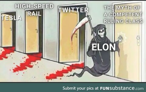 Peak Musk