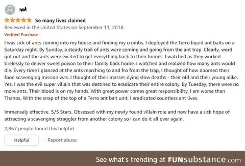 Ant bait review