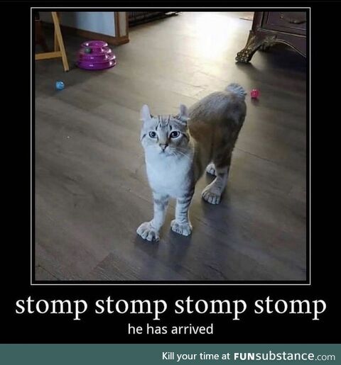 *stomp stomp*