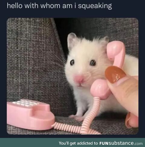 Squeak?