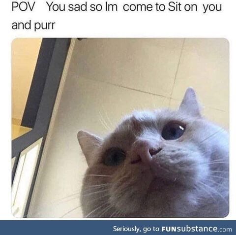 The original antidepressant