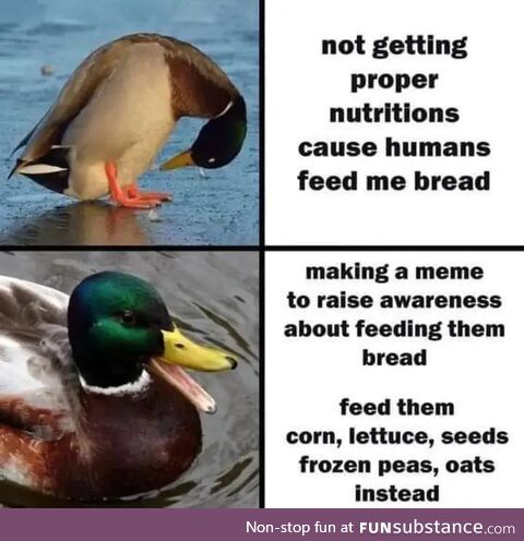 Maybe it's better than starving