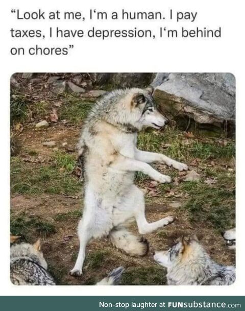 Hurr durr