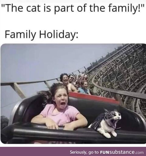 Good puddy tat