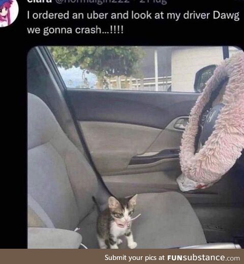 Halp