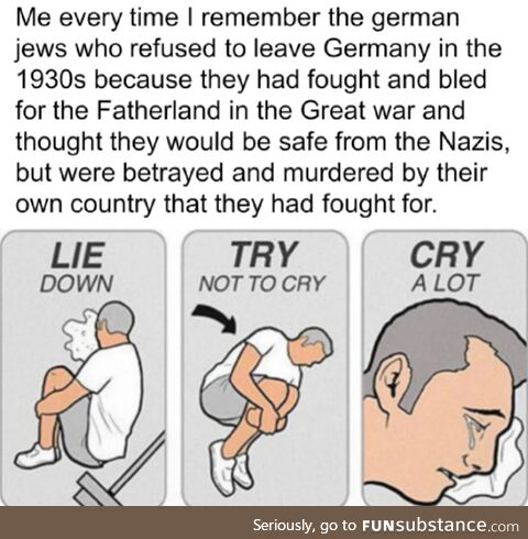 Nazi Germany, Jew meme
