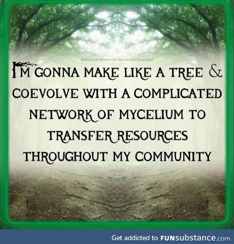 Skip monke, return to mycelium