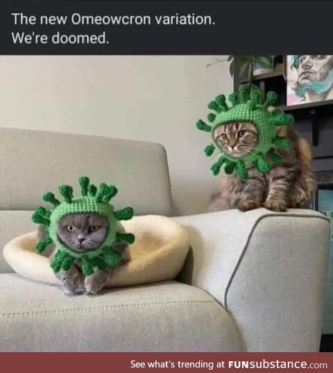 Aaaaaww .. wait ..