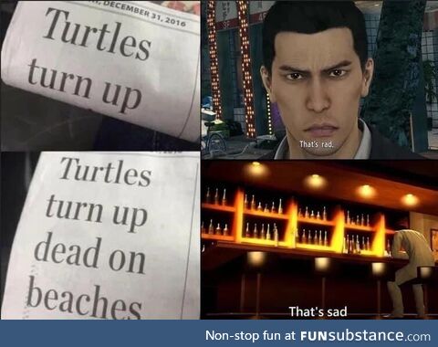 The turtles tho :(