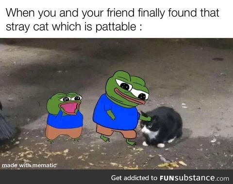 Finally, pattable stray cat