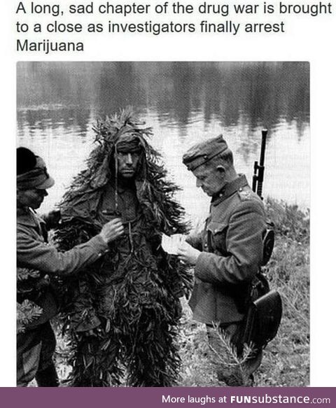 The first war on drugs concluded with Marijuana being apprehended in 1952, subsequently