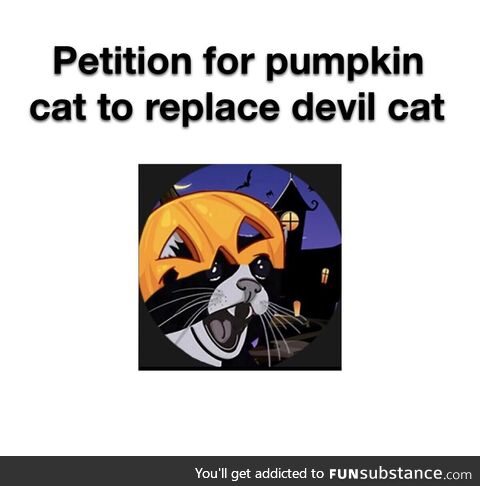 Pumpkin cat is where it’s at