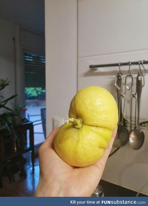 It's a lemon