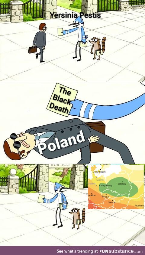 Can't touch the Polish