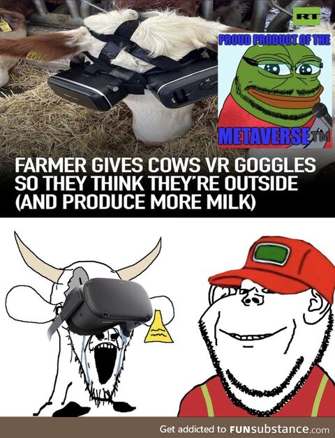 Cows vr 2