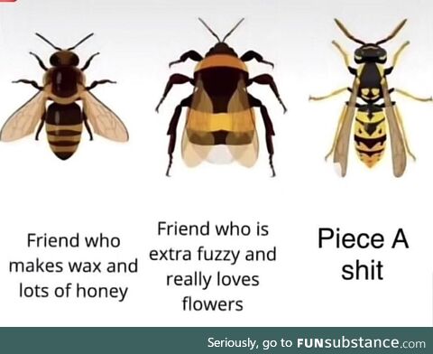 Be kind to bees