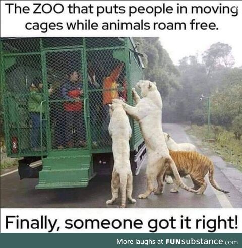 The human zoo