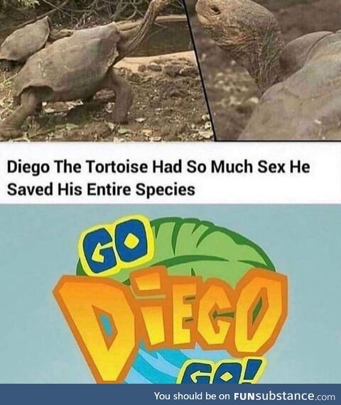 Go diego go!!