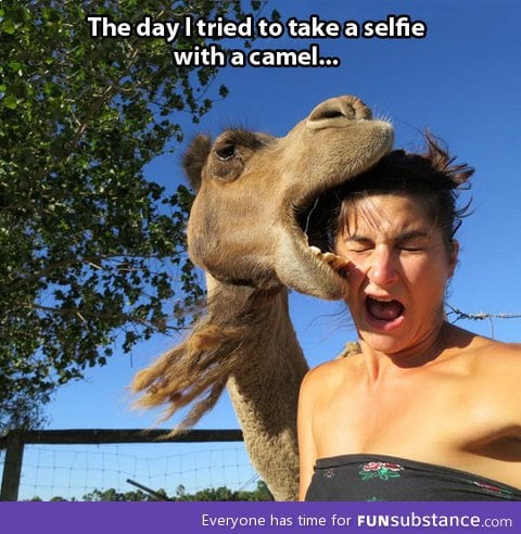 When selfies don't go as expected