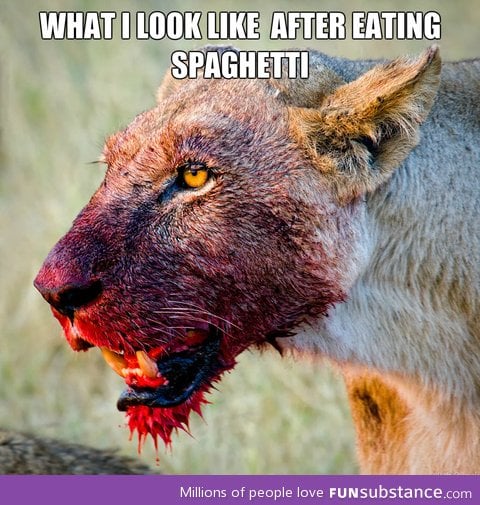 After spaghetti