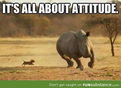Dream big!