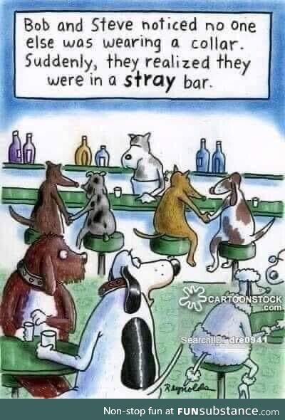 Stray bar