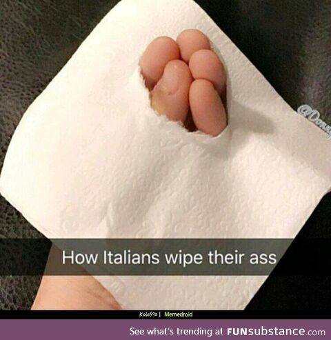 True Italians are shown how to wipe their own ass...Circa 2016