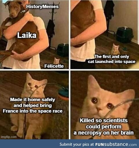 To be honest, who had even heard of France before they launched a cat into space?