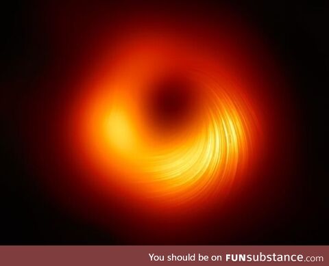 The Event Horizon Telescope collaboration, who produced the first ever image of a black