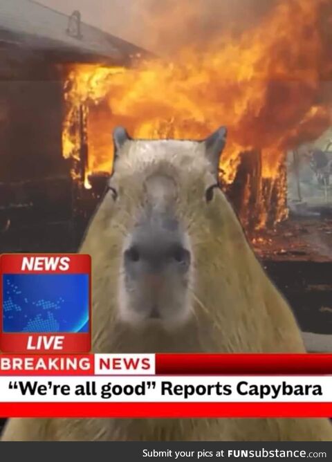 Mostly peaceful conflagration