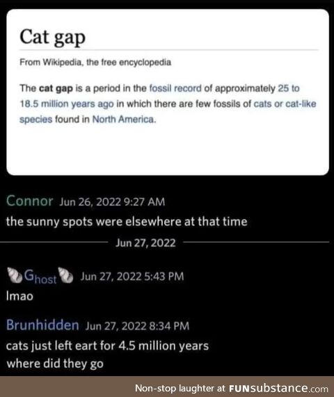 Cat?