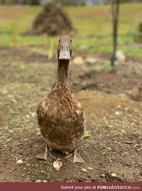 This is my friend, Wendy