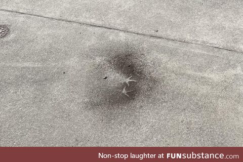 I think one of my chickens was involved in an explosion…