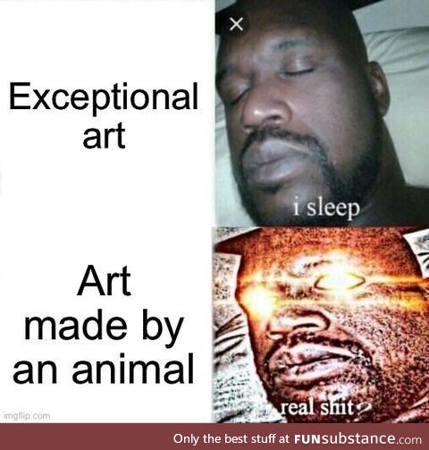 You’re telling me a pig did that?