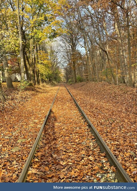 Unused railway in northern DE