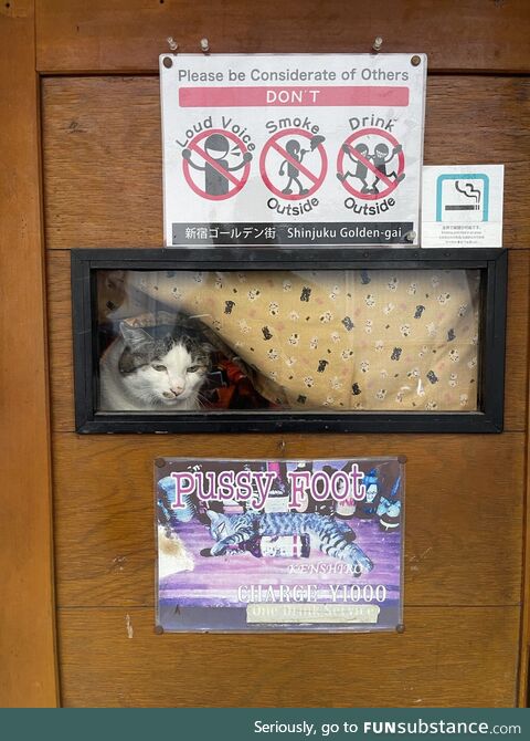 I love Tokyo