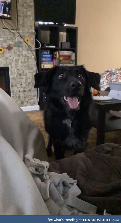 I hope you all find someone who looks at you the way my dog looks at a tennis ball about